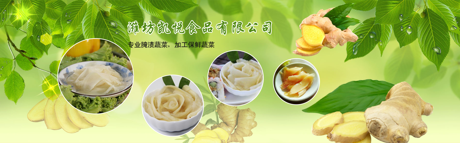 濰坊凱悅食品有限公司